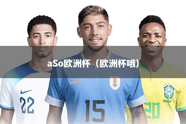aSo欧洲杯（欧洲杯哦）