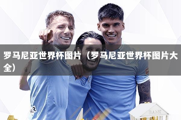 罗马尼亚世界杯图片(罗马尼亚世界杯图片大全)